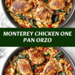 Monterey Chicken One Pan Orzo Recipe for Easy Delicious Dinners